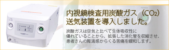 内視鏡用炭酸ガス送気装置